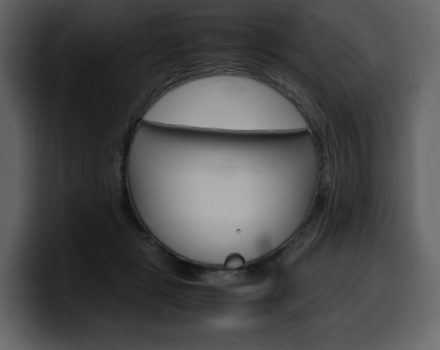 X0000099570461200805160729