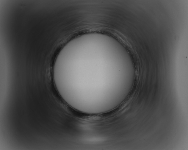 X0000099570462200805160729