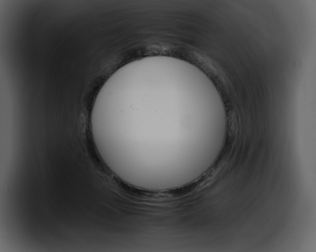 X0000099570463200805160729