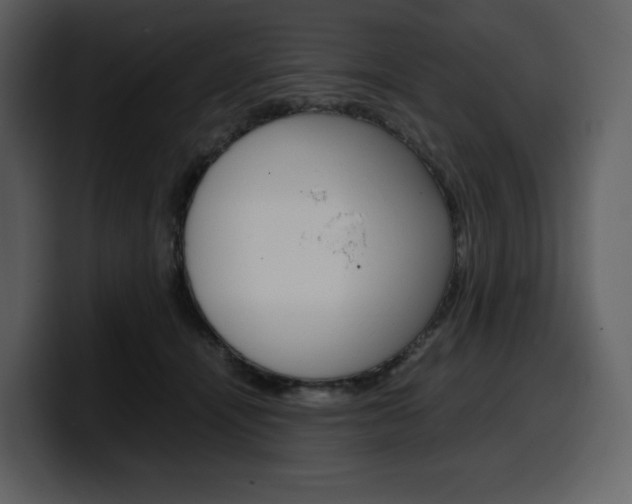 X0000099570464200805160729