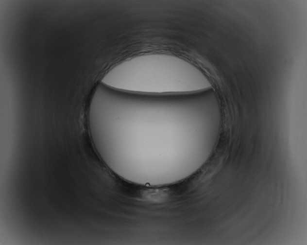 X0000099570465200805160729