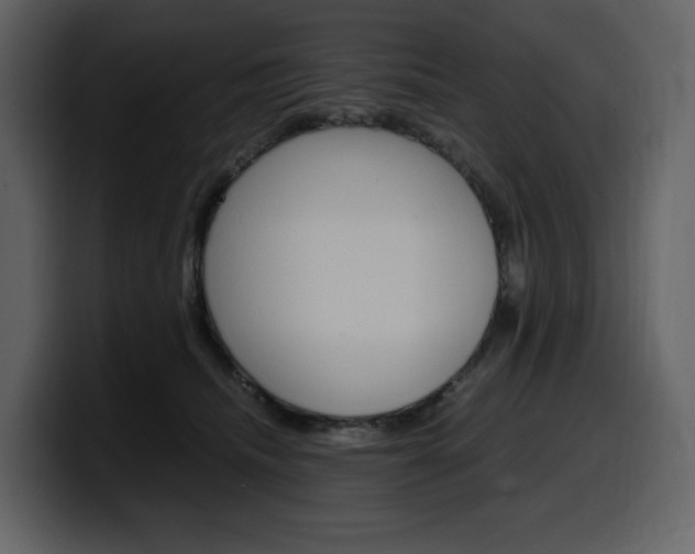 X0000099570468200805160729