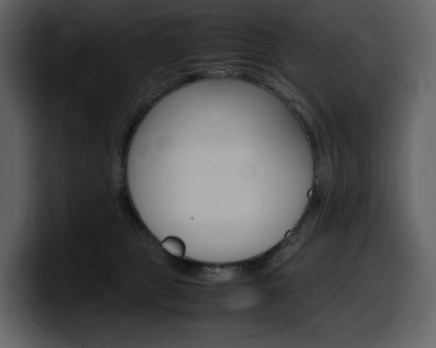 X0000099570469200805160729
