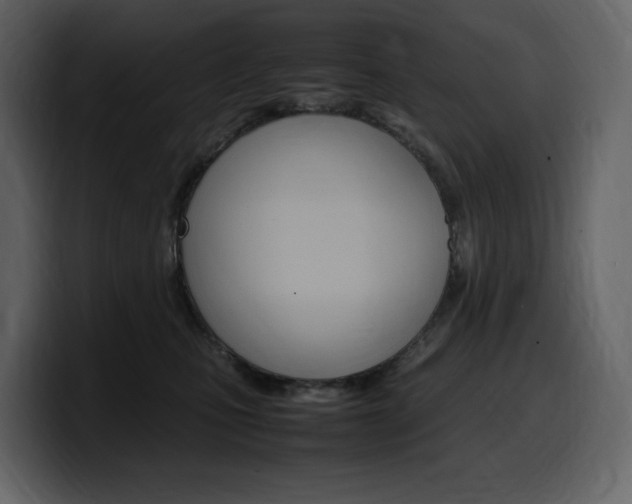 X0000099570471200805160729