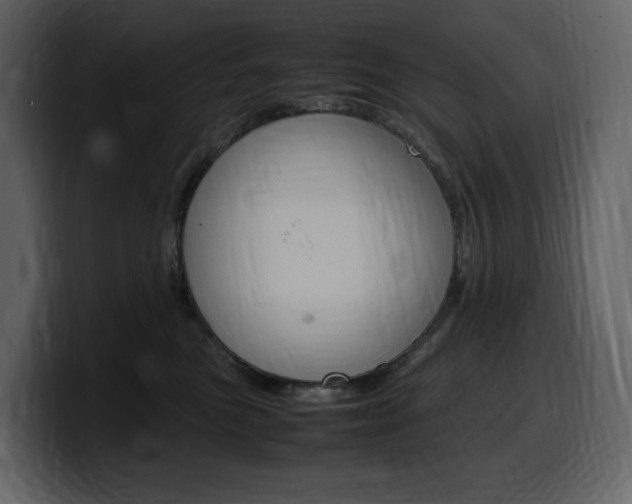 X0000099570473200805160729