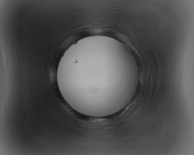 X0000099570476200805160729