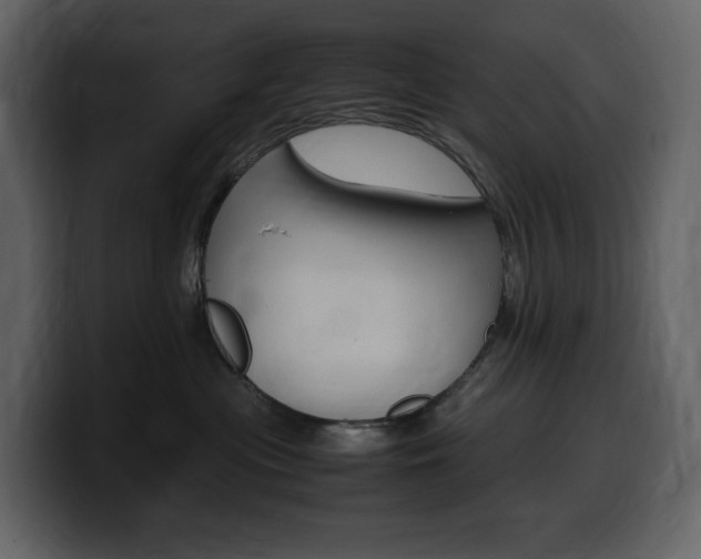 X0000099570477200805160729