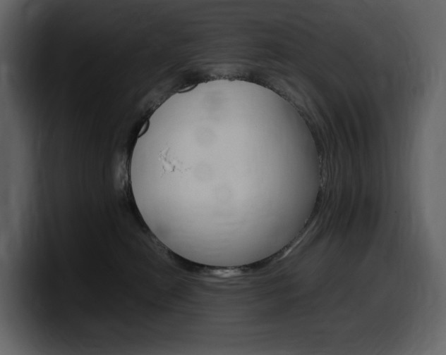 X0000099570478200805160729