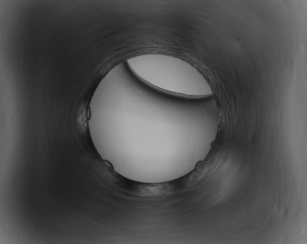 X0000099570479200805160729