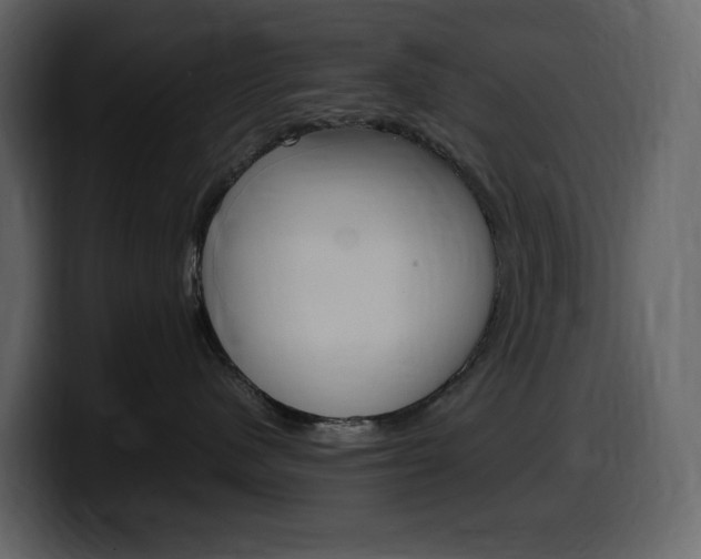 X0000099570480200805160729