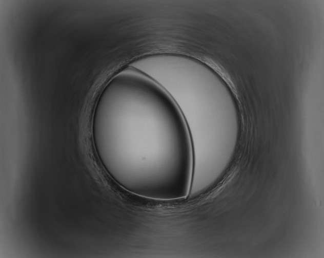 X0000099570481200805160729
