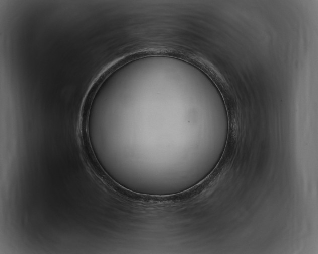 X0000099570484200805160729