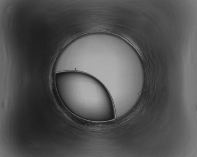 X0000099570485200805160729