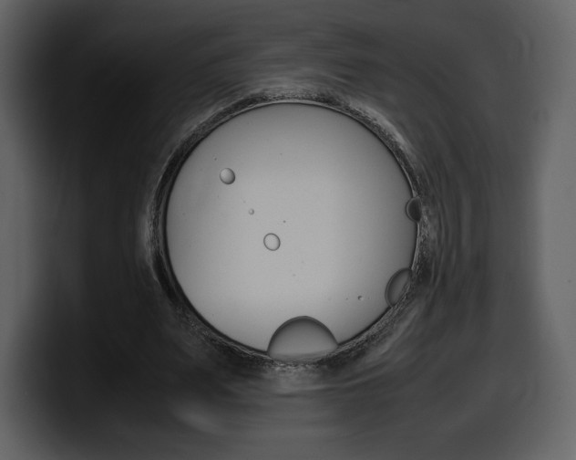 X0000099570487200805160729