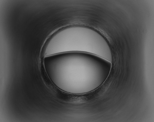 X0000099570488200805160729