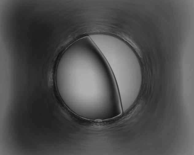 X0000099570489200805160729