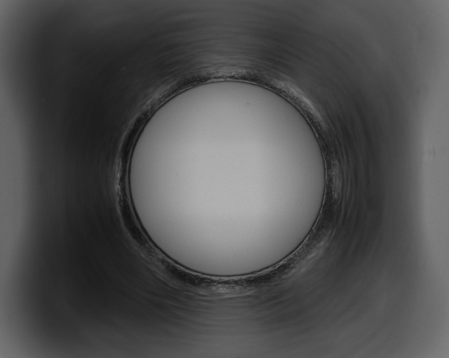 X0000099570490200805160729