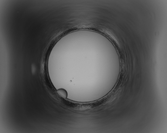 X0000099570491200805160729