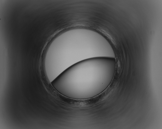 X0000099570492200805160729