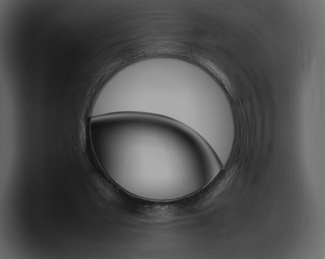 X0000099570493200805160729