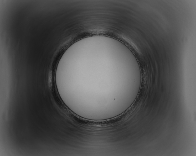 X0000099570494200805160729