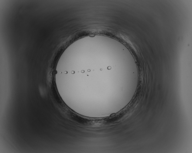 X0000099570495200805160728