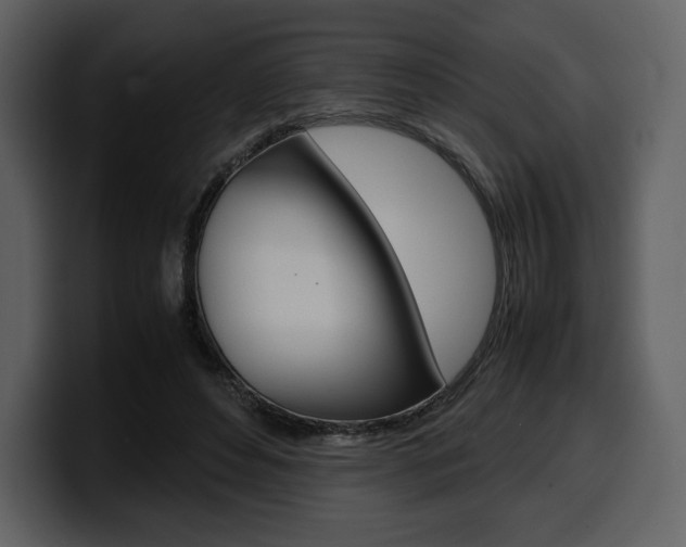 X0000099570496200805160728