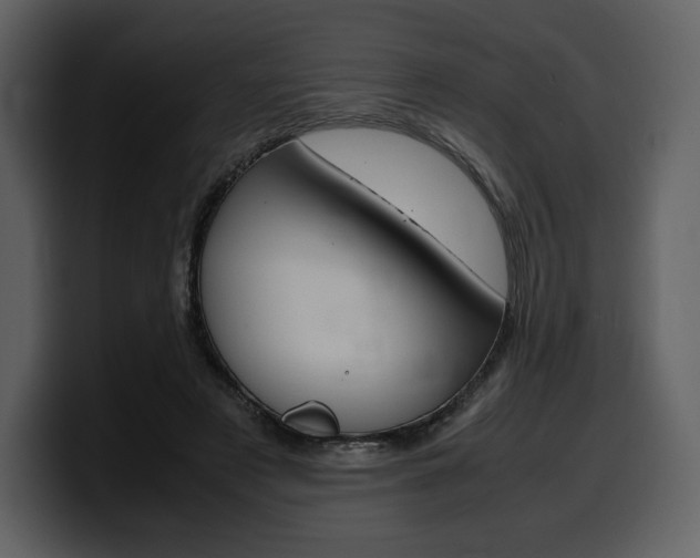 X0000099570497200805160728