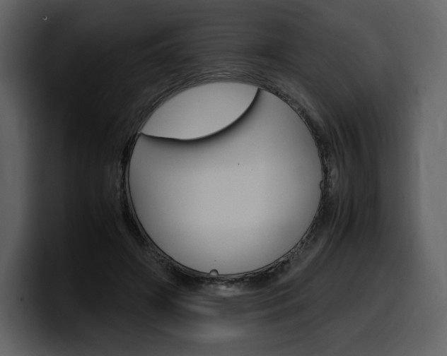 X0000099570498200805160728
