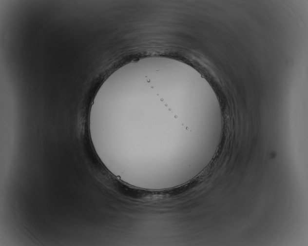 X0000099570499200805160728
