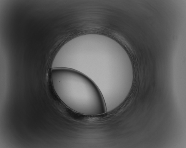 X0000099570501200805160728