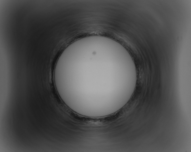 X0000099570502200805160728