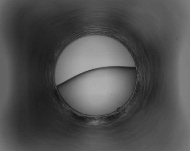 X0000099570504200805160728