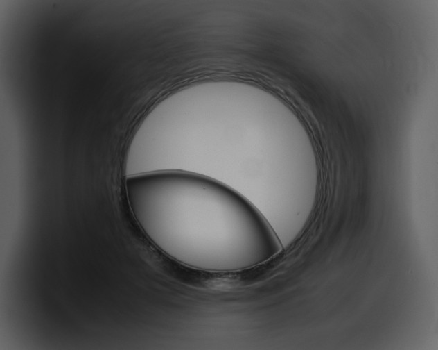 X0000099570505200805160728