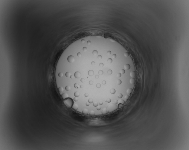 X0000099570507200805160728