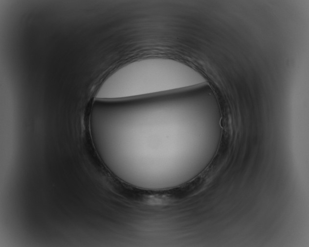 X0000099570508200805160728