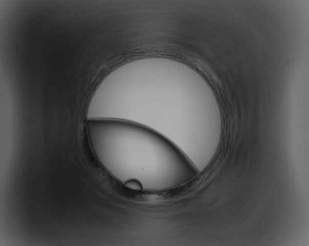 X0000099570509200805160728