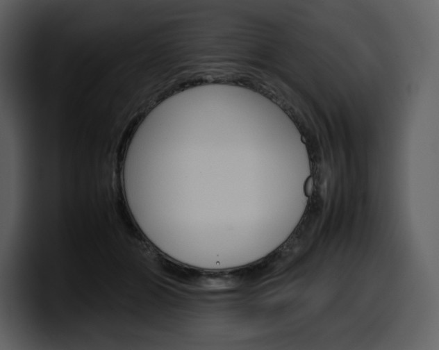X0000099570510200805160728