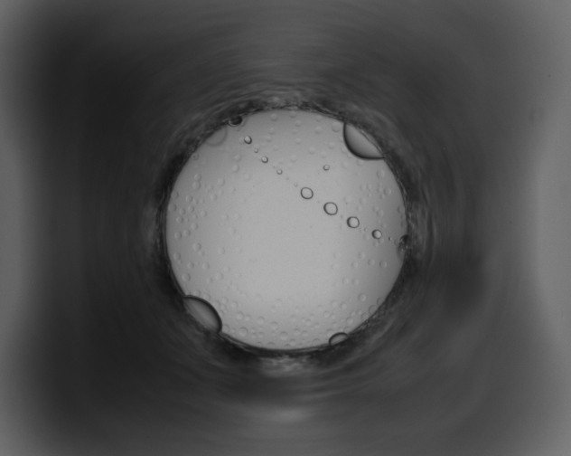 X0000099570511200805160728