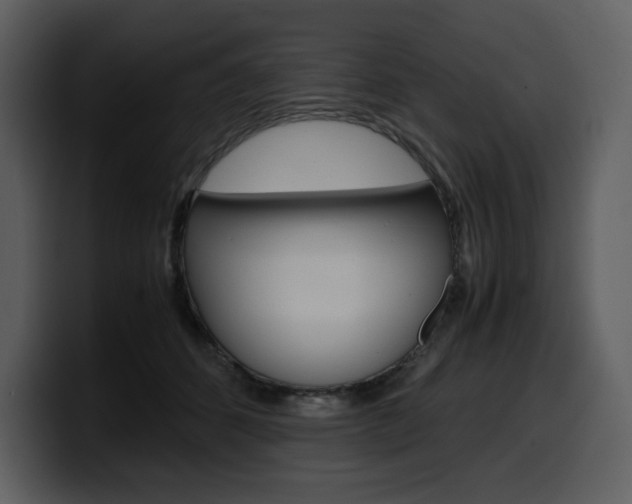X0000099570512200805160728
