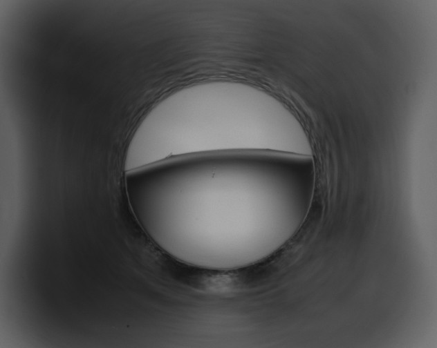 X0000099570513200805160728