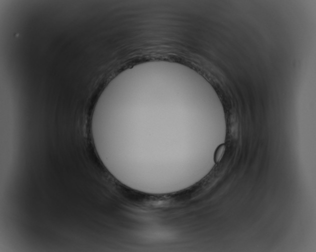 X0000099570514200805160728