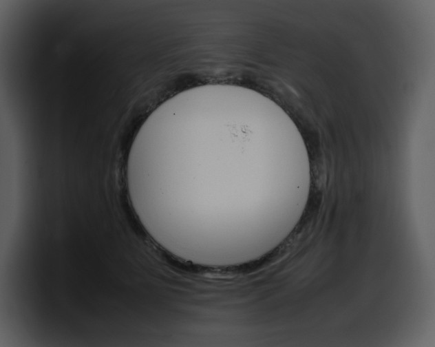 X0000099570515200805160728