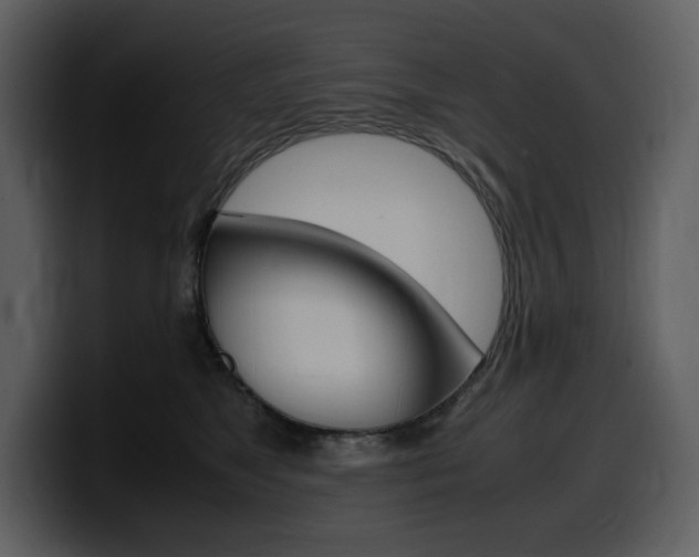 X0000099570517200805160728