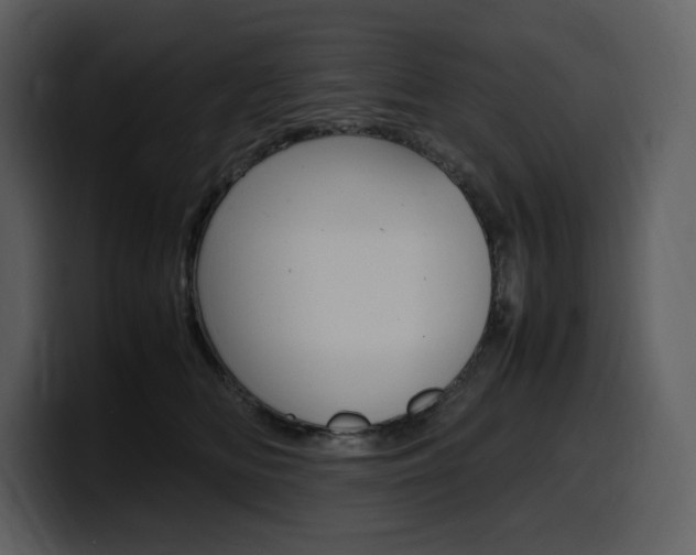 X0000099570518200805160728