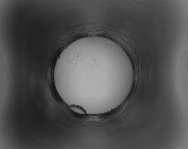 X0000099570519200805160728