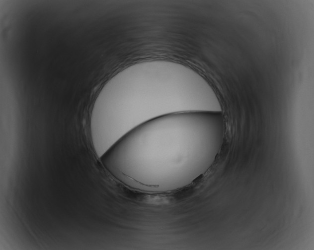 X0000099570520200805160728