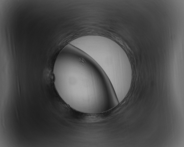 X0000099570521200805160728