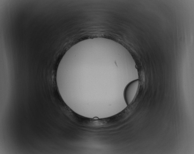 X0000099570522200805160728