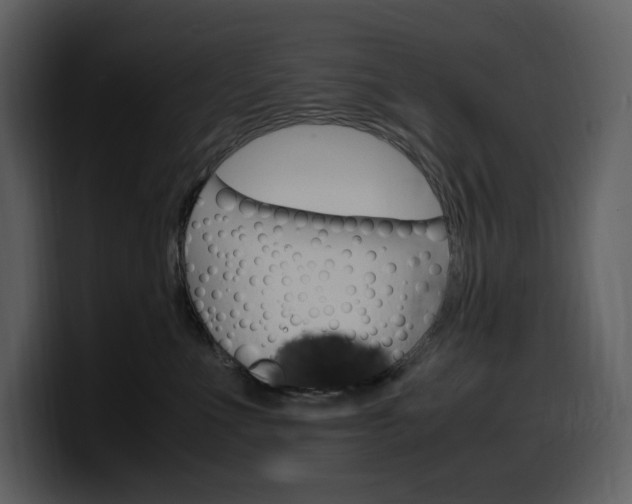 X0000099570523200805160728
